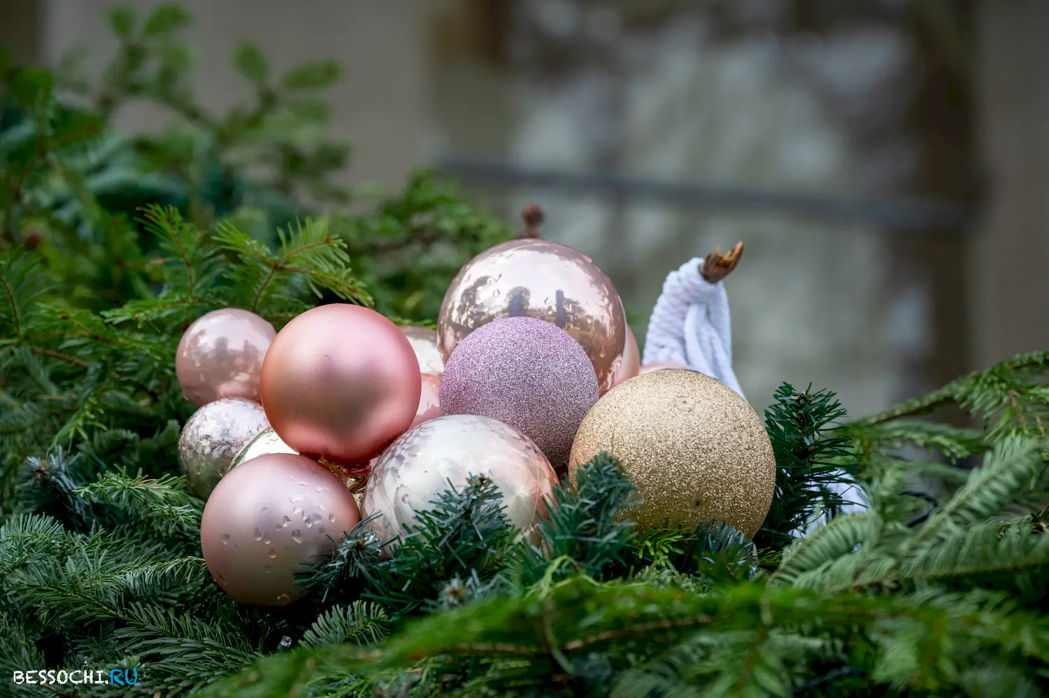 Новый год Сочи 2024