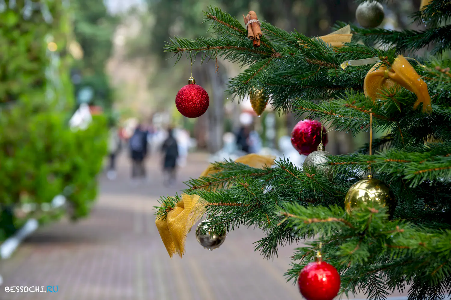 Новый год Сочи 2024