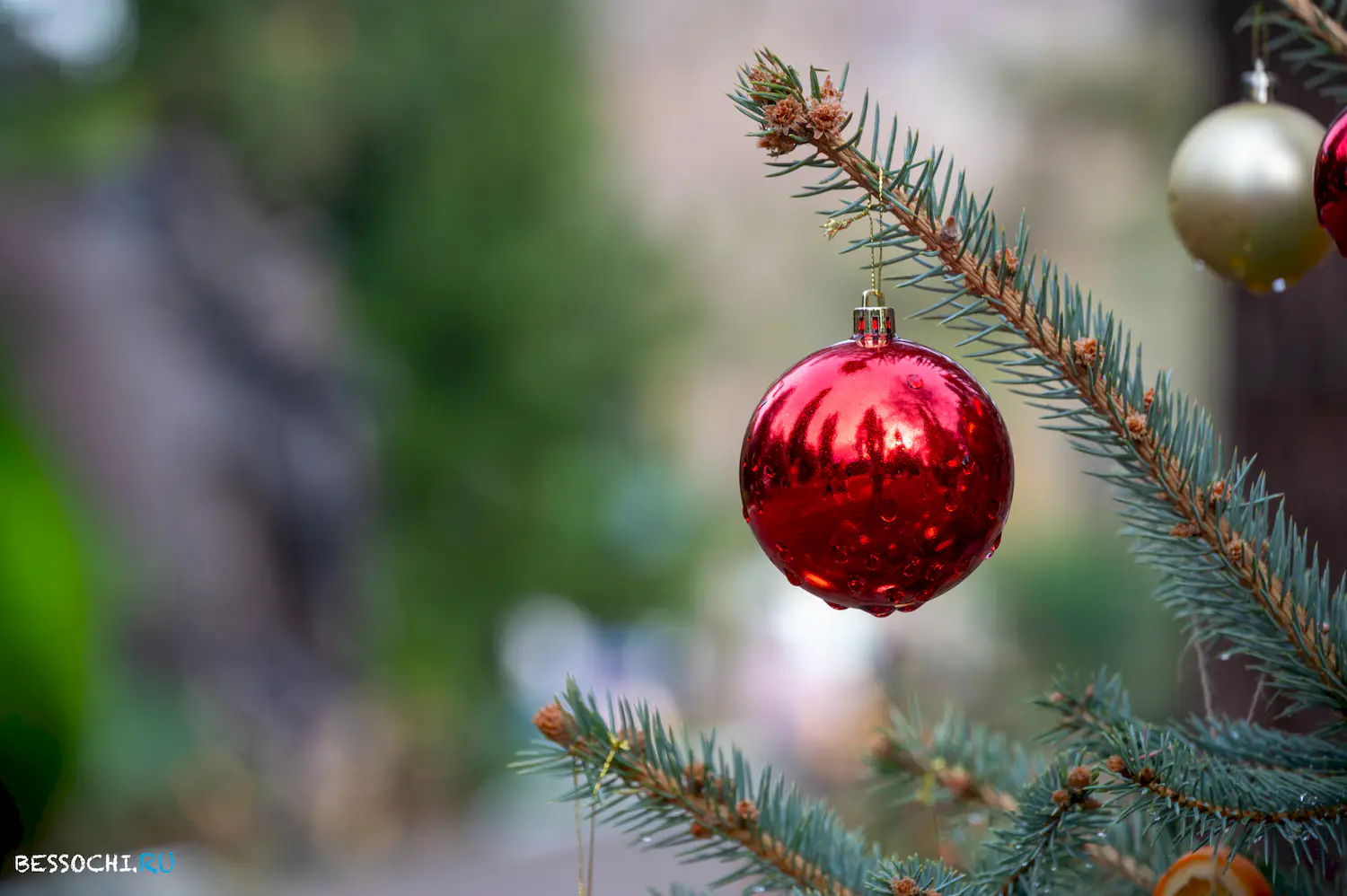 Новый год Сочи 2024