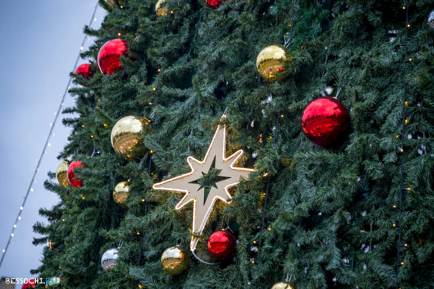 Новый год Сочи 2024