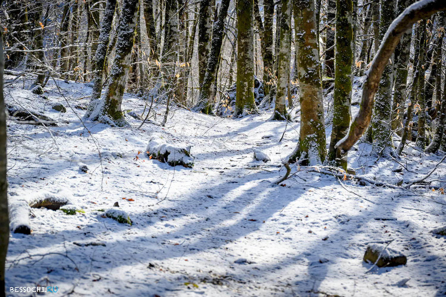 Ачипсинская крепость