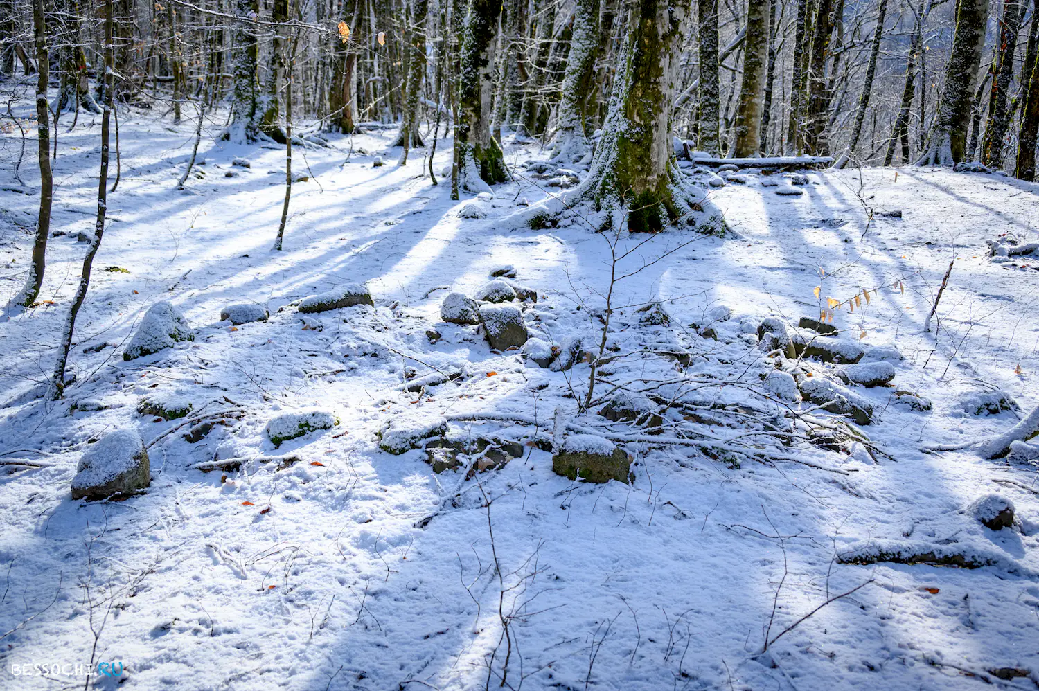 Ачипсинская крепость
