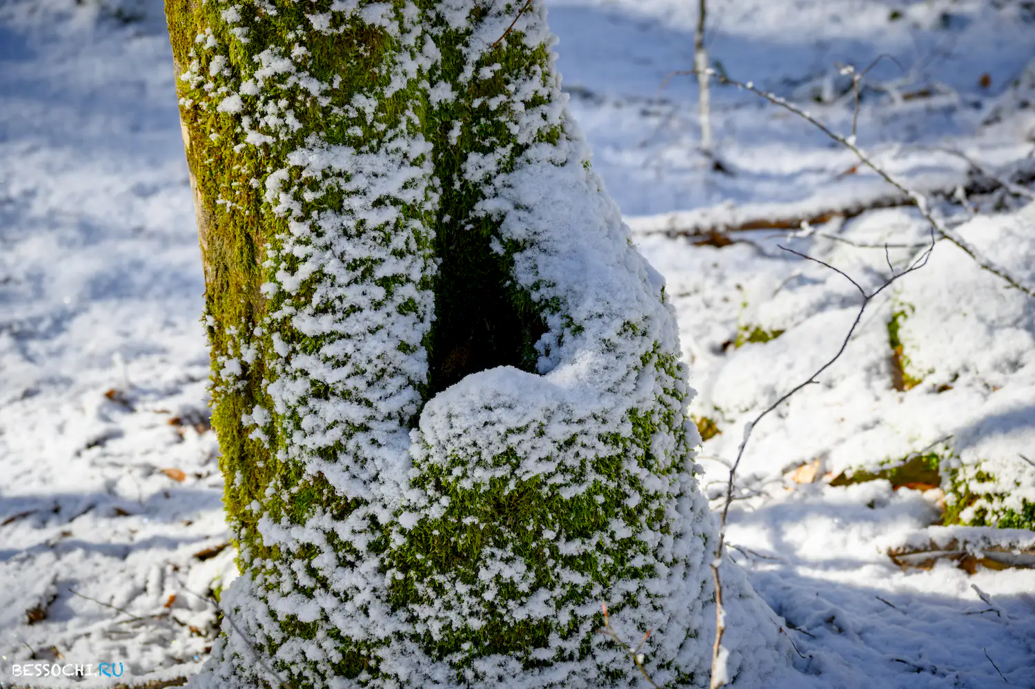 Ачипсинская крепость