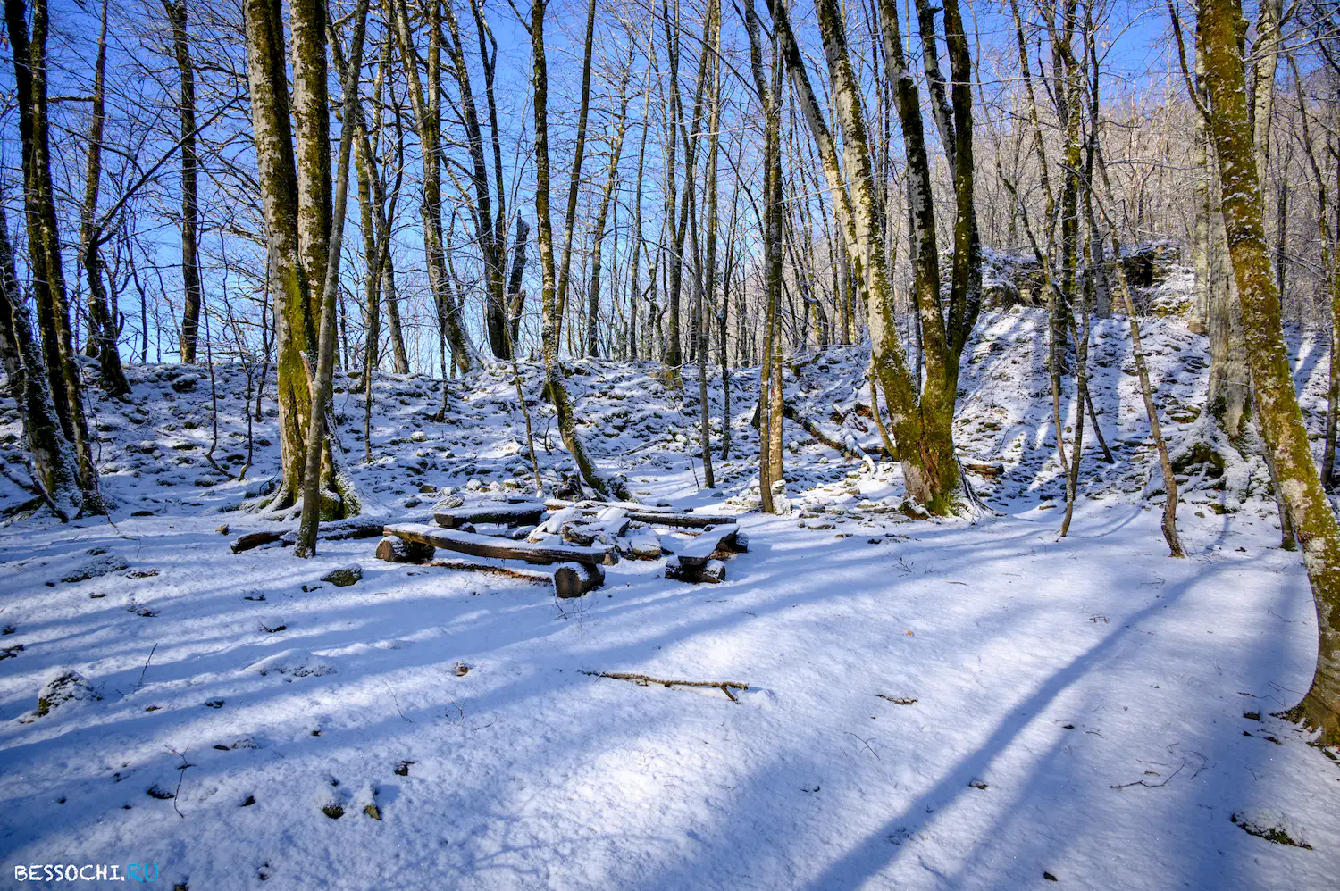 Ачипсинская крепость