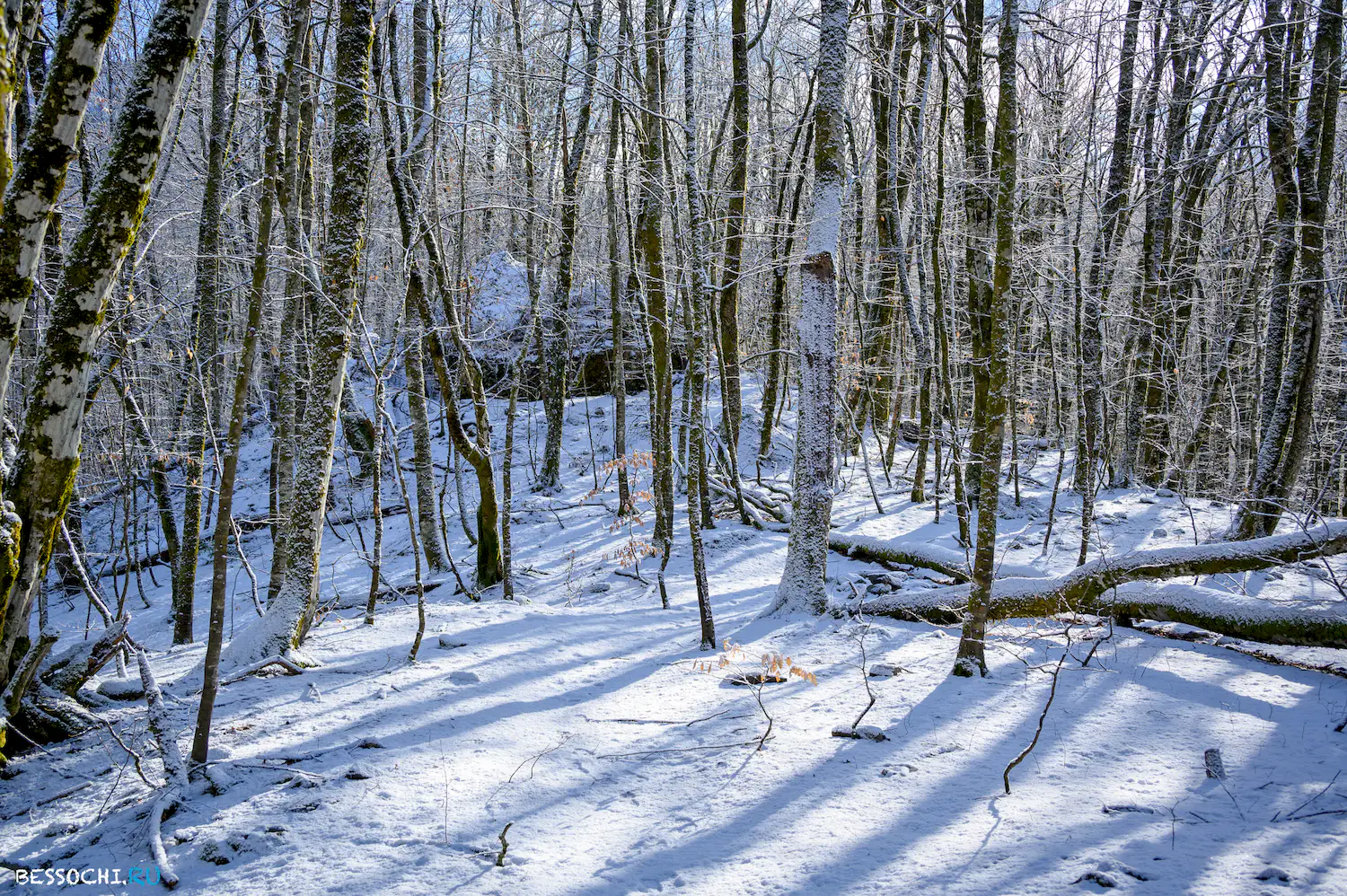Ачипсинская крепость