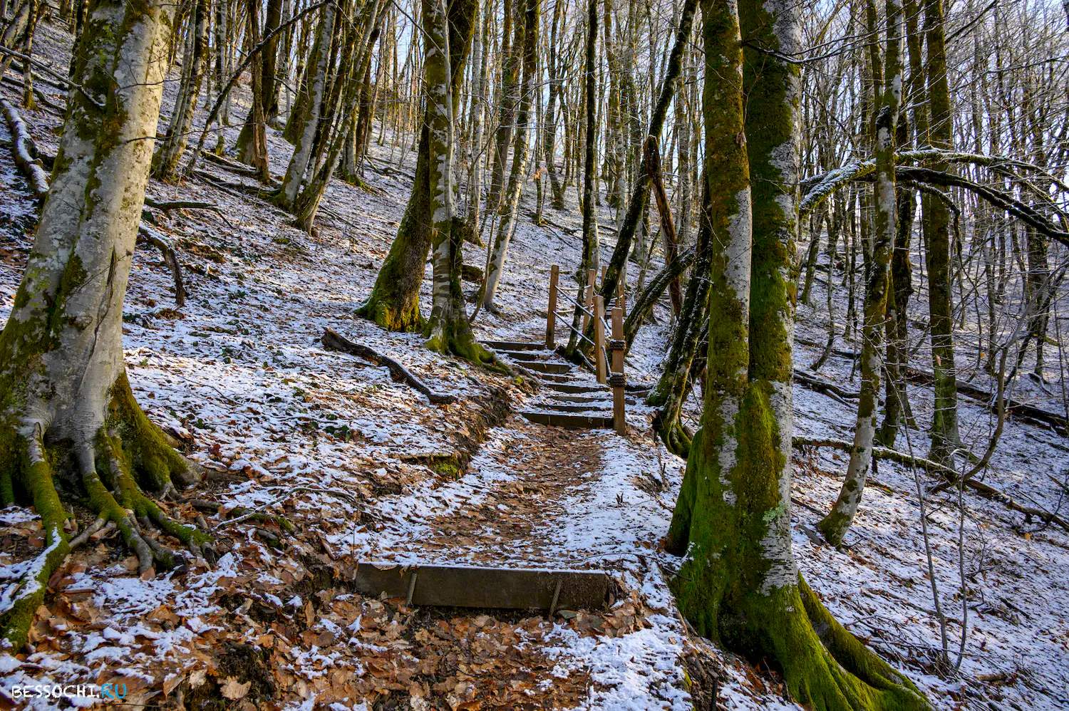 Ачипсинская крепость