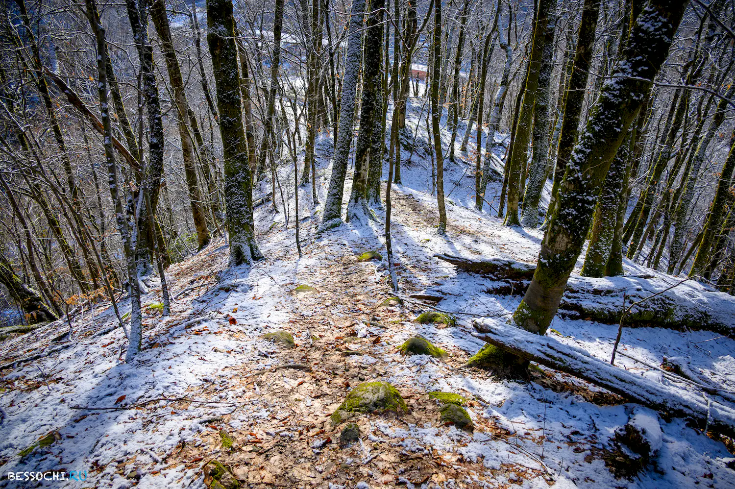 Ачипсинская крепость