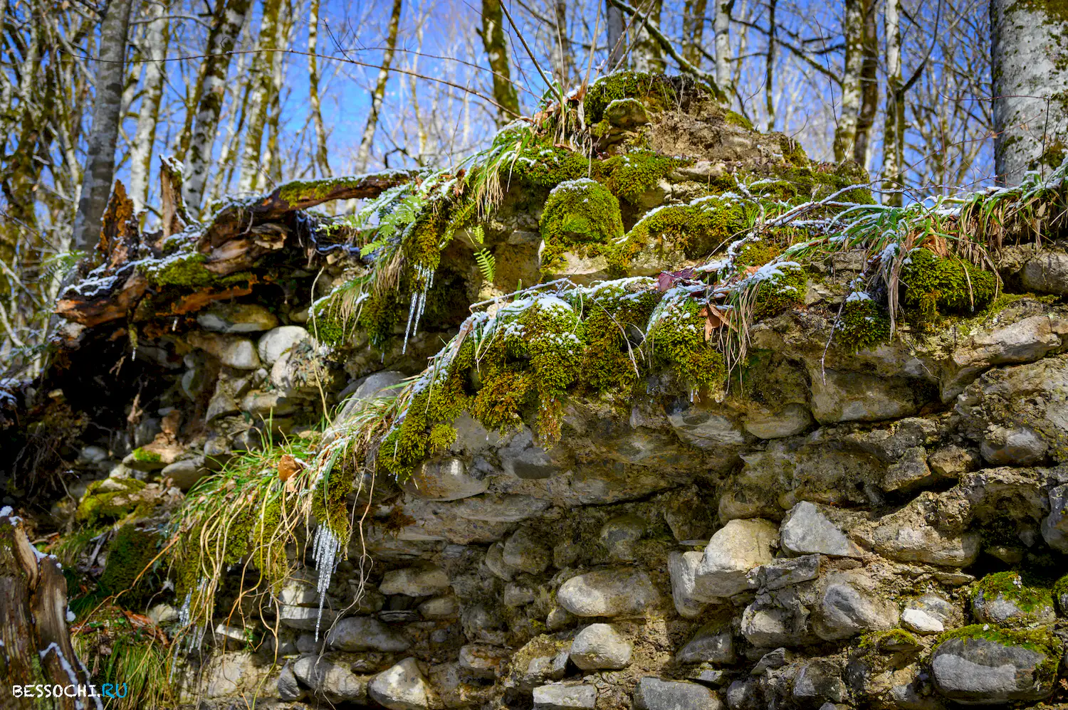 Ачипсинская крепость