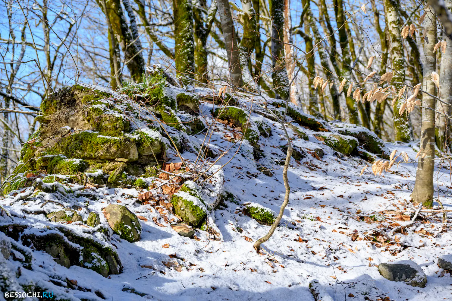 Ачипсинская крепость