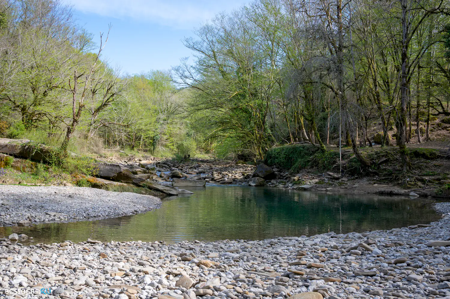 Весенний лес