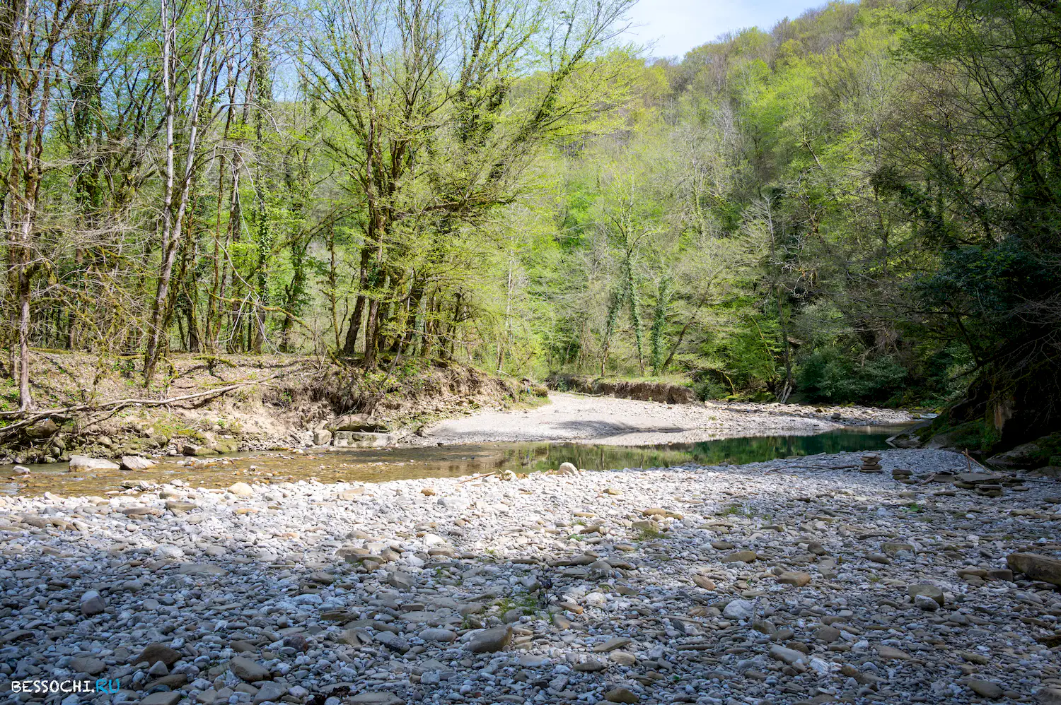 Весенний лес