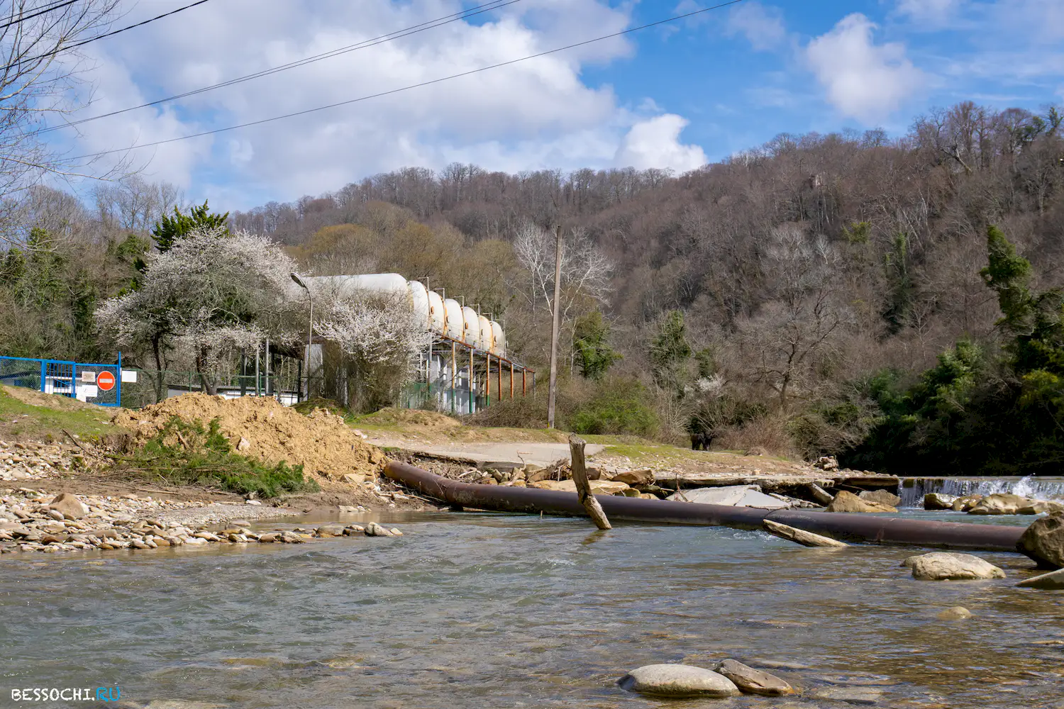 Весенний лес