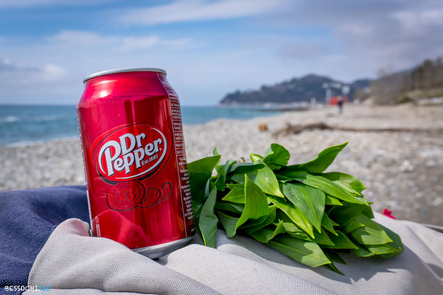 Весенний лес