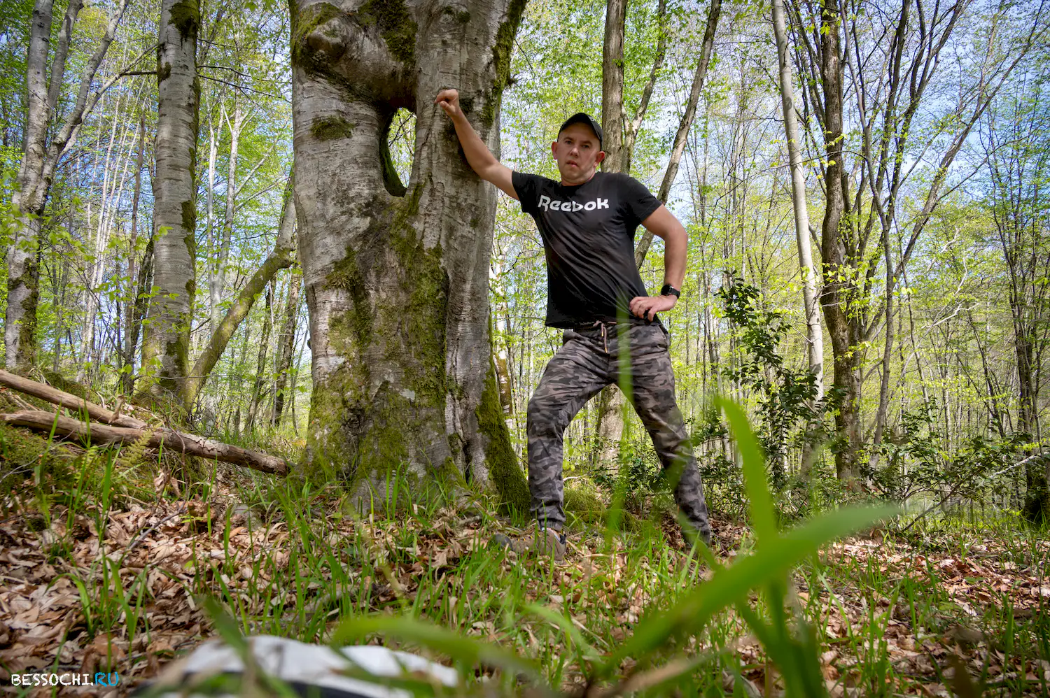 Весенний лес