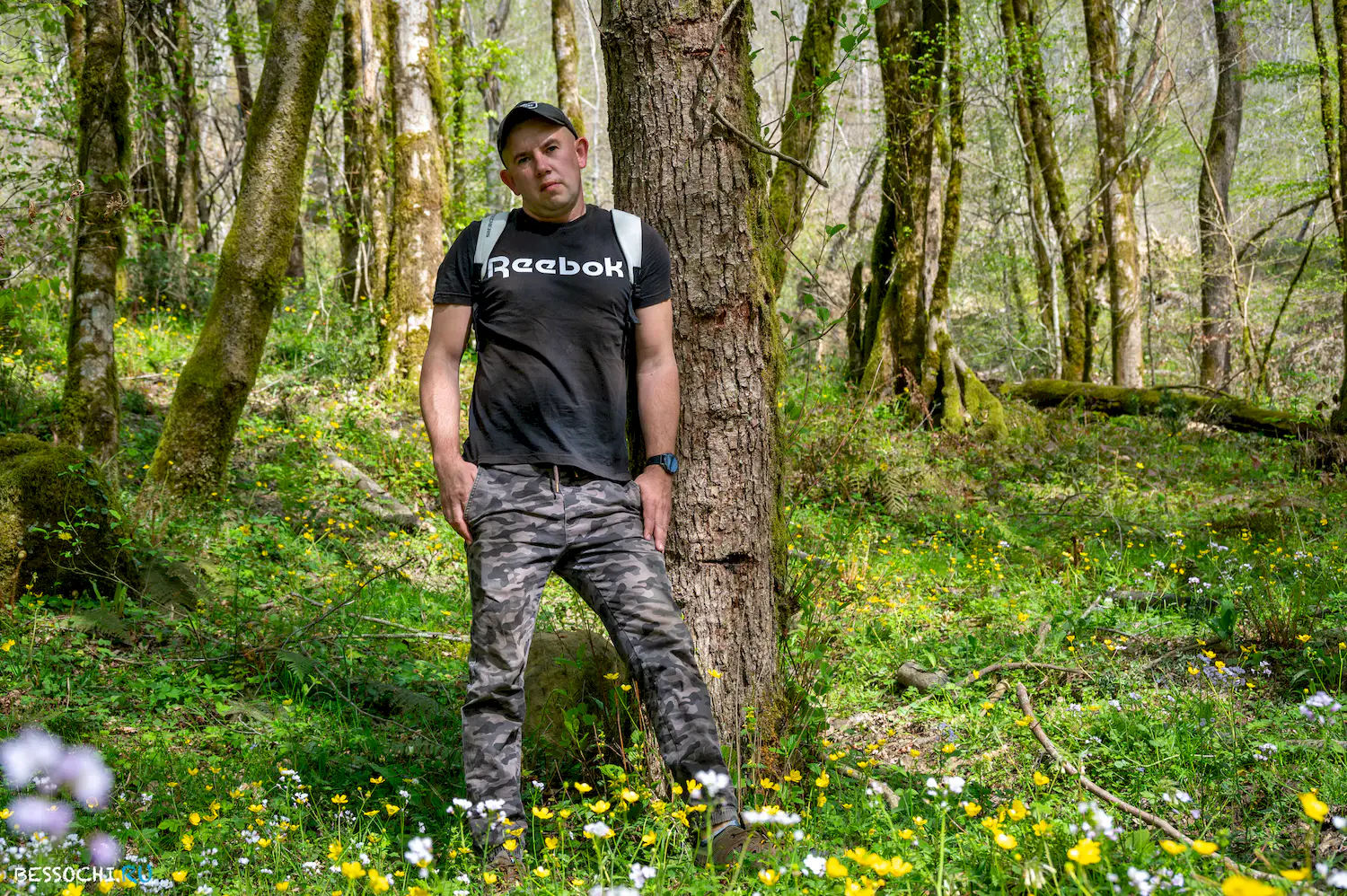 Весенний лес