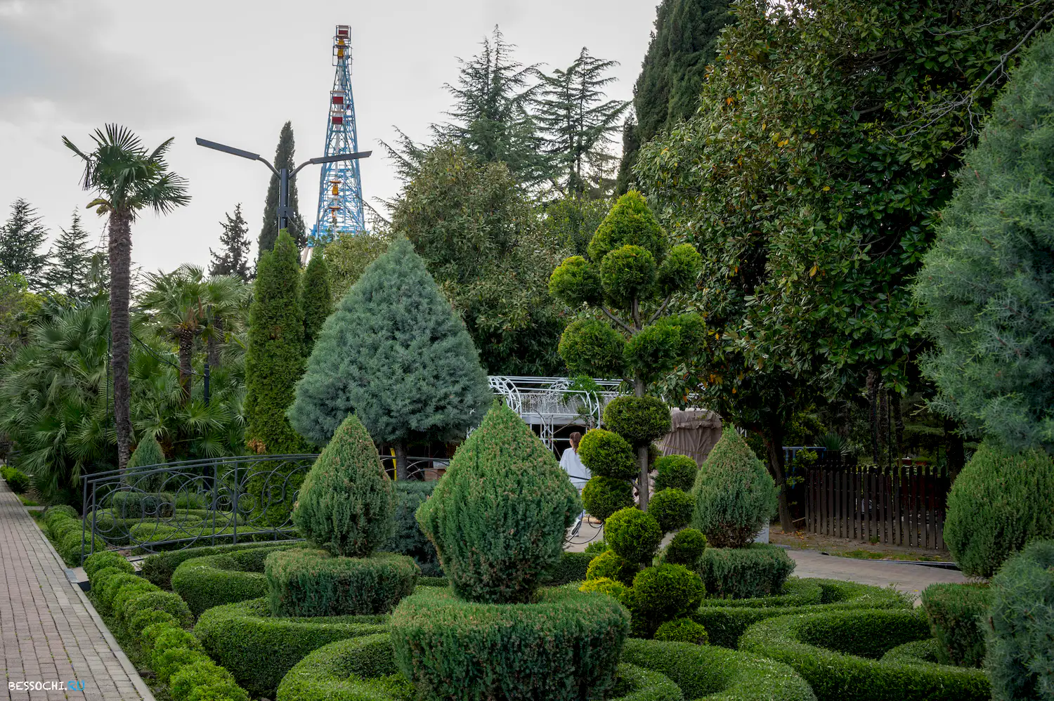 парк Лазаревское