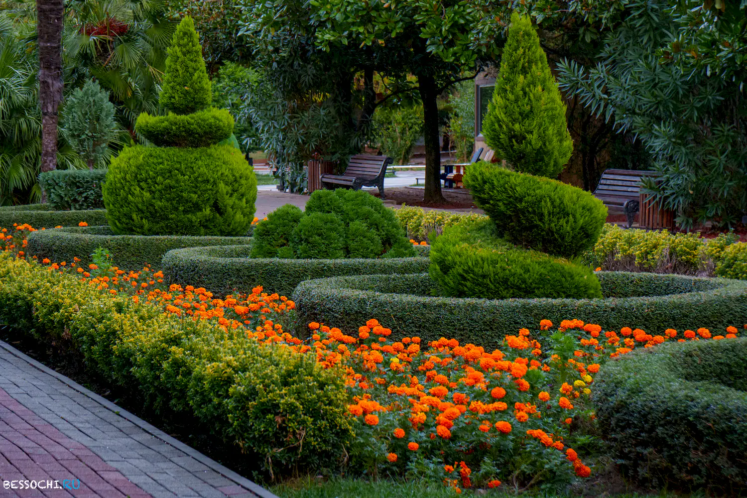 парк Лазаревское