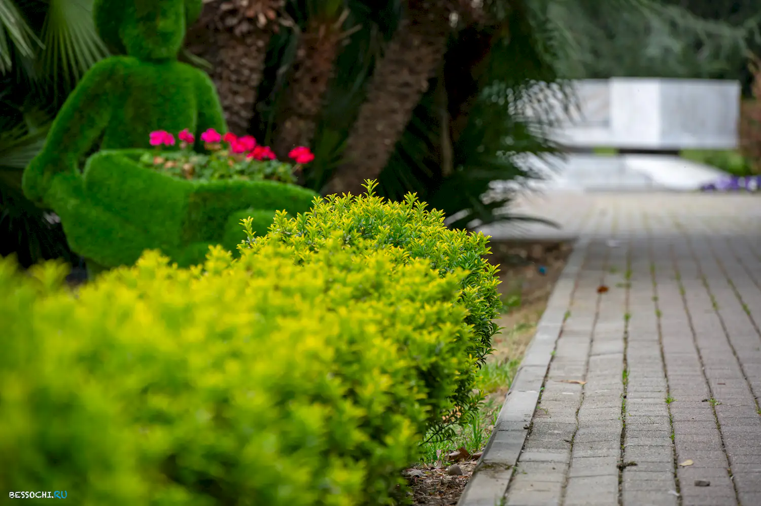 парк Лазаревское