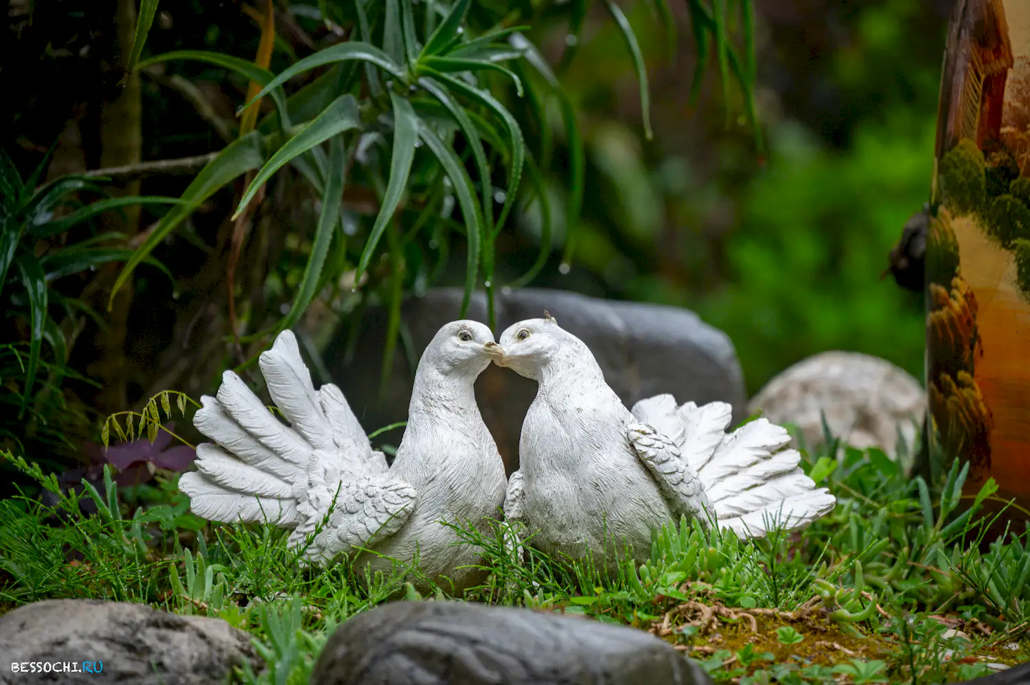 Весенний Сочи