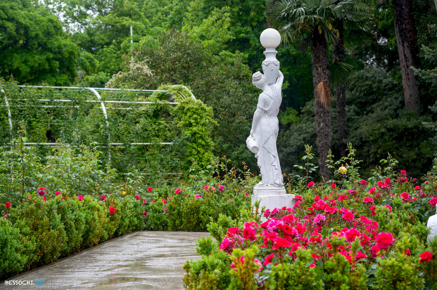 Весенний Сочи