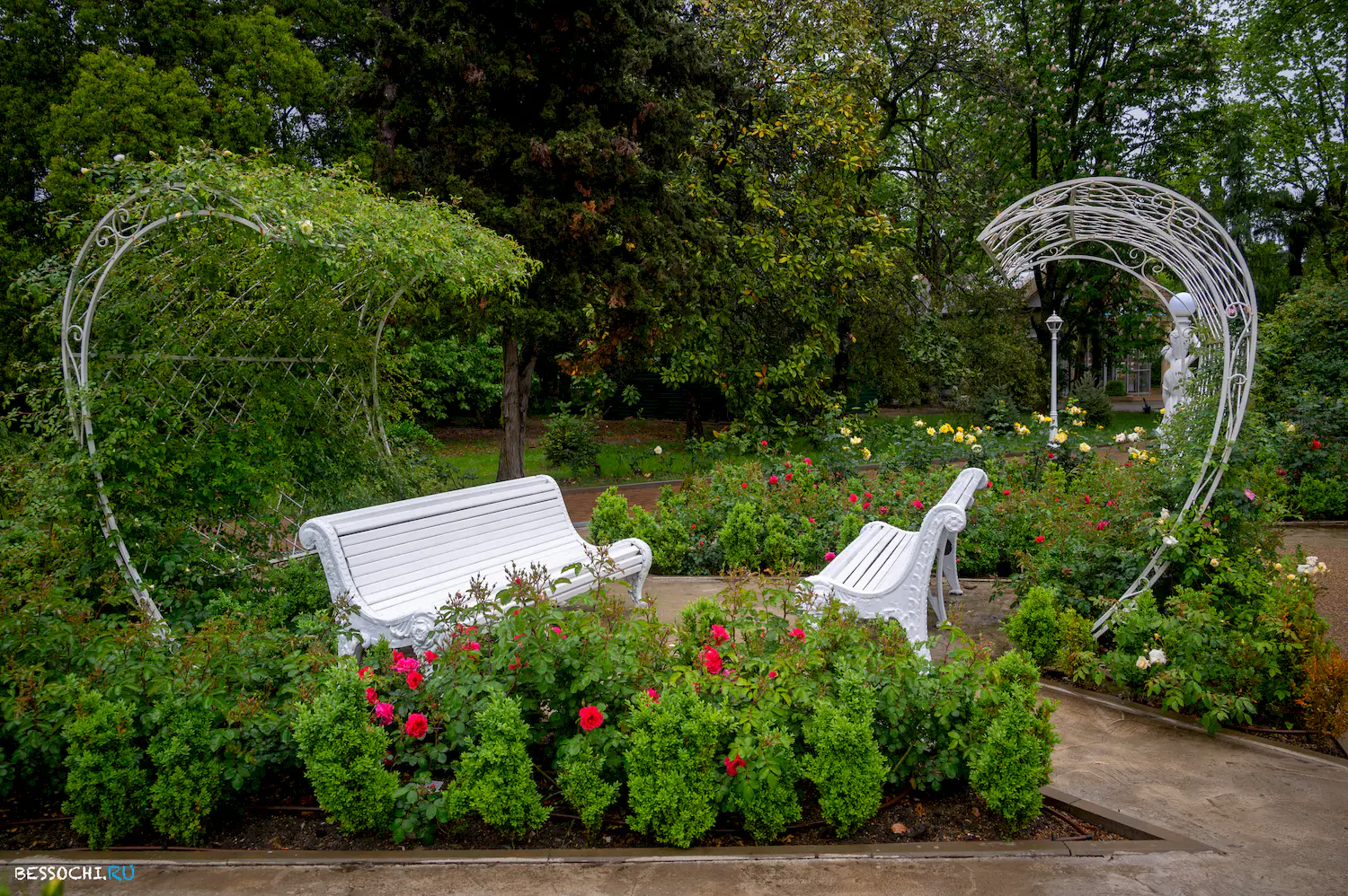 Весенний Сочи