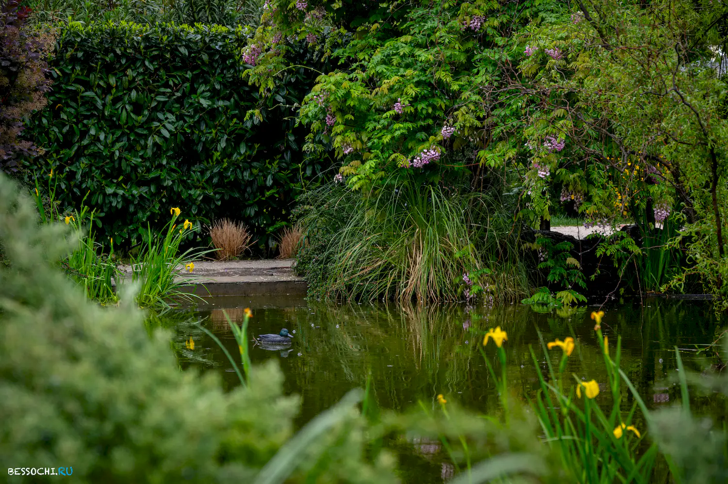 Весенний Сочи