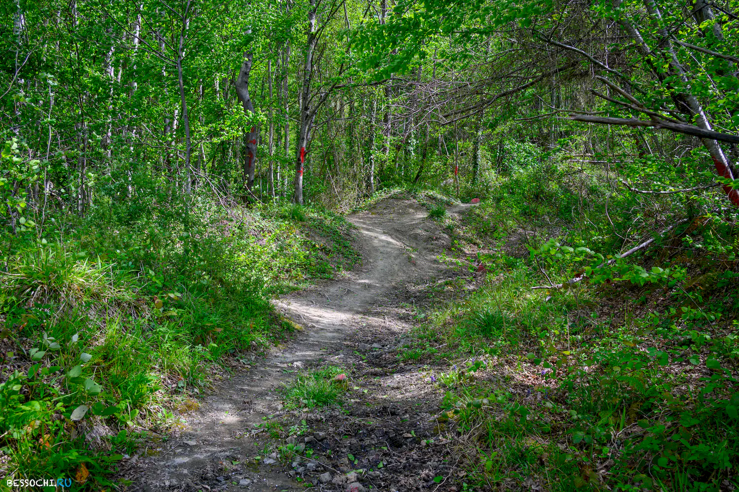 Берендеево царство
