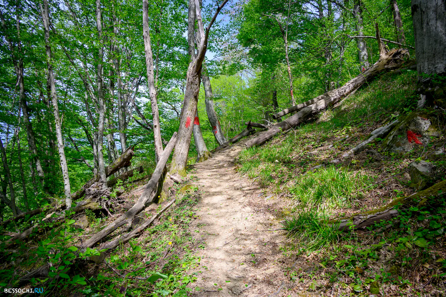 Берендеево царство