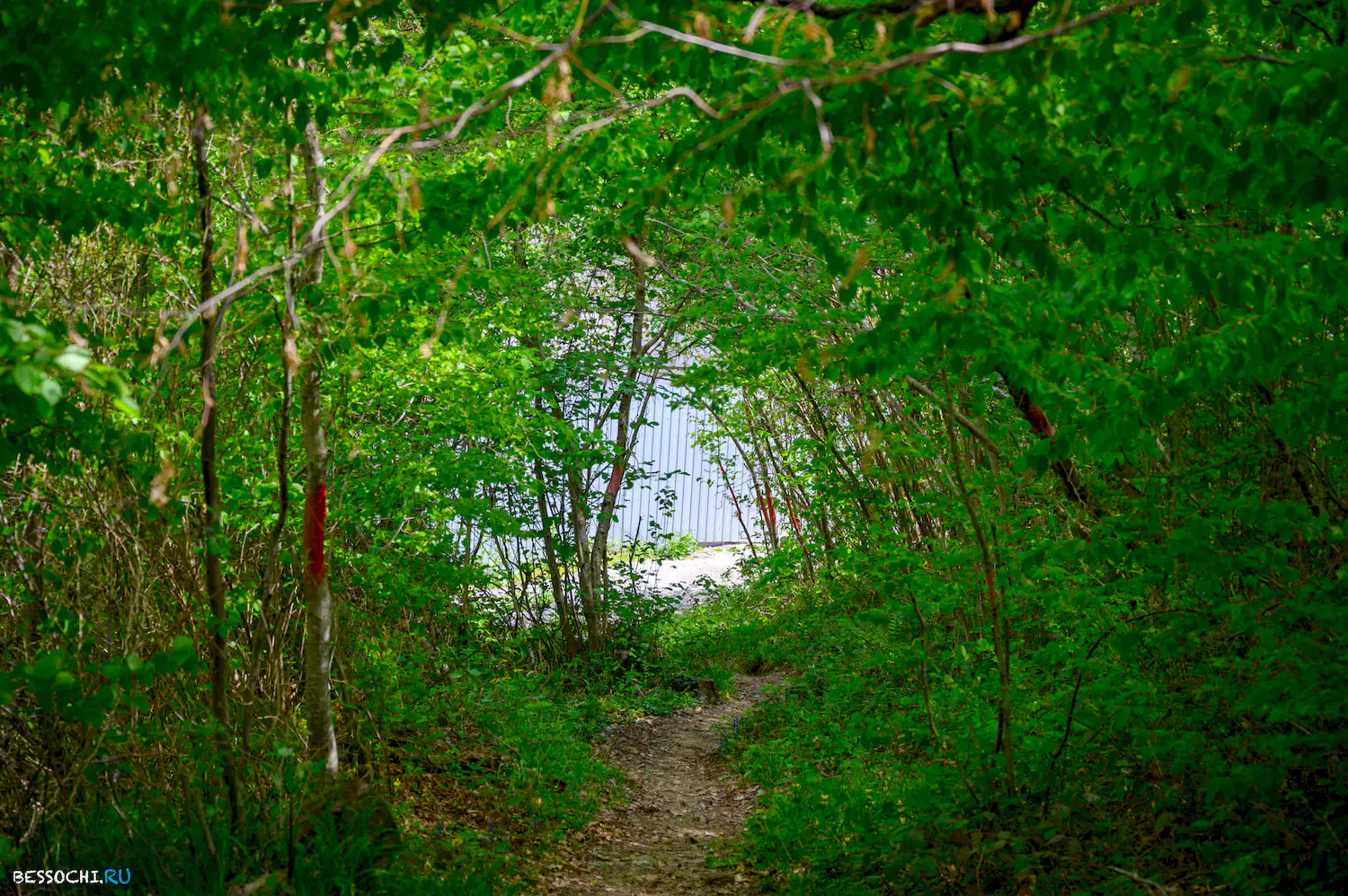 Берендеево царство