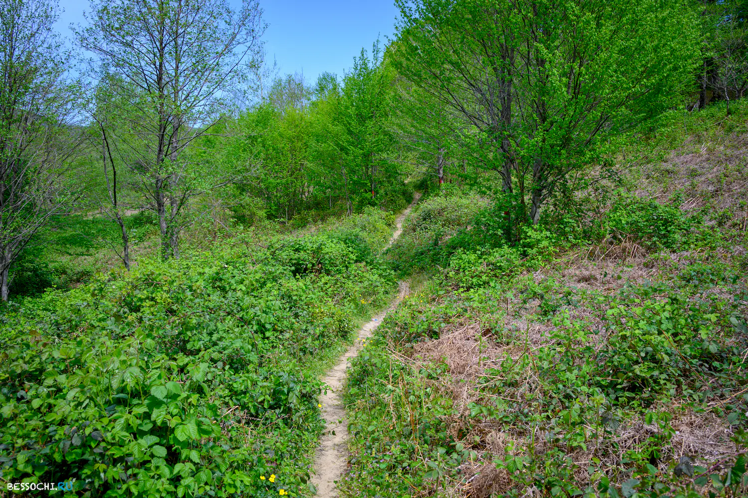Берендеево царство