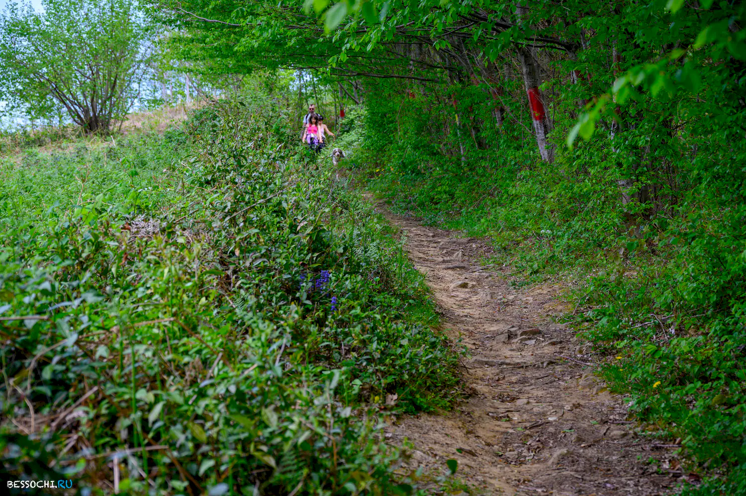 Берендеево царство