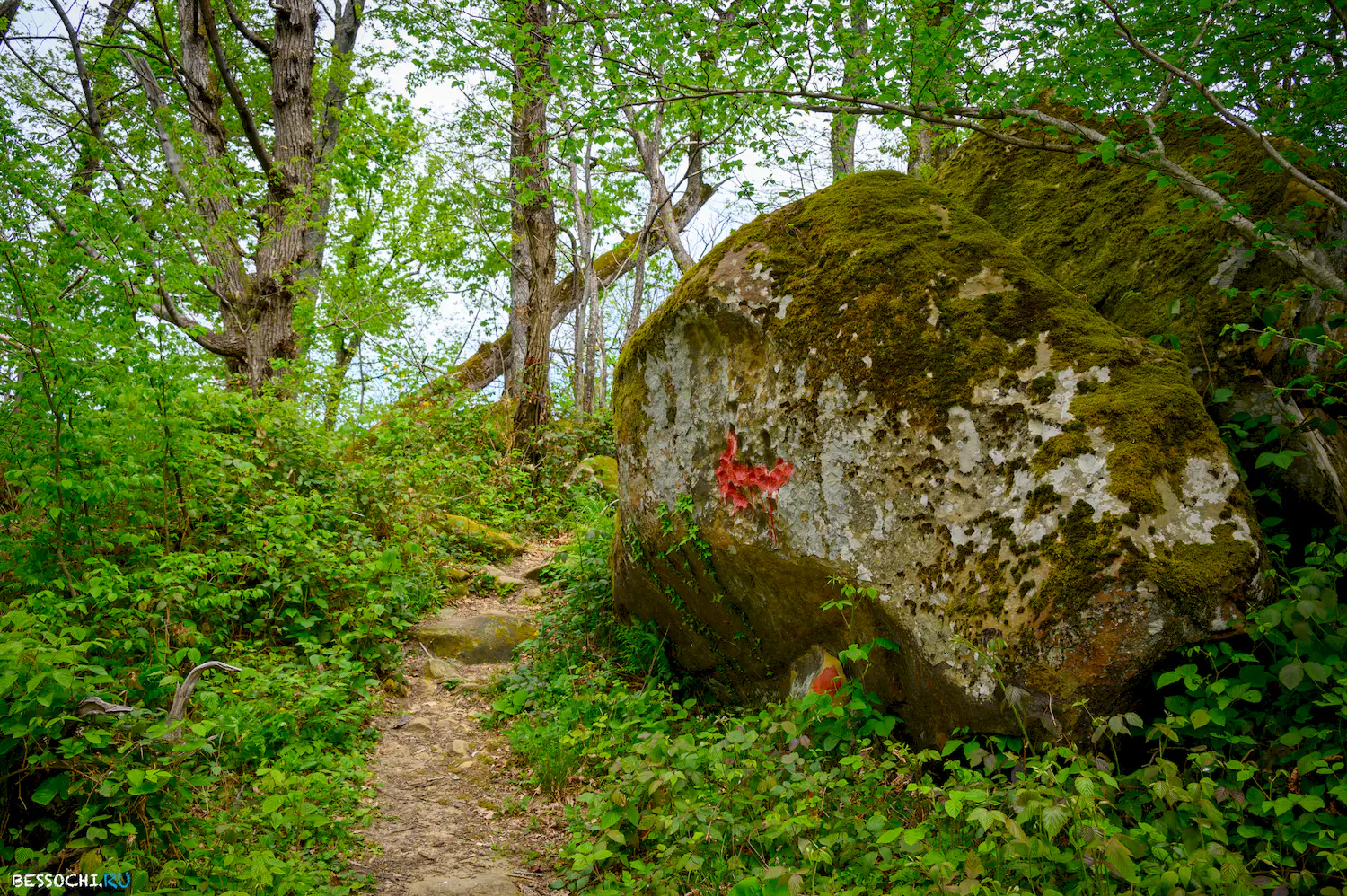 Берендеево царство