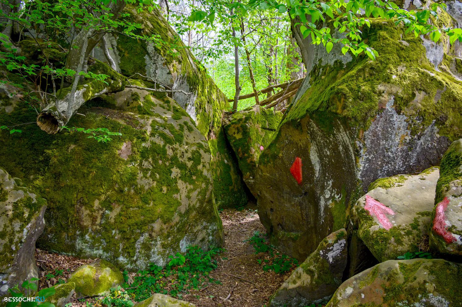 Берендеево царство