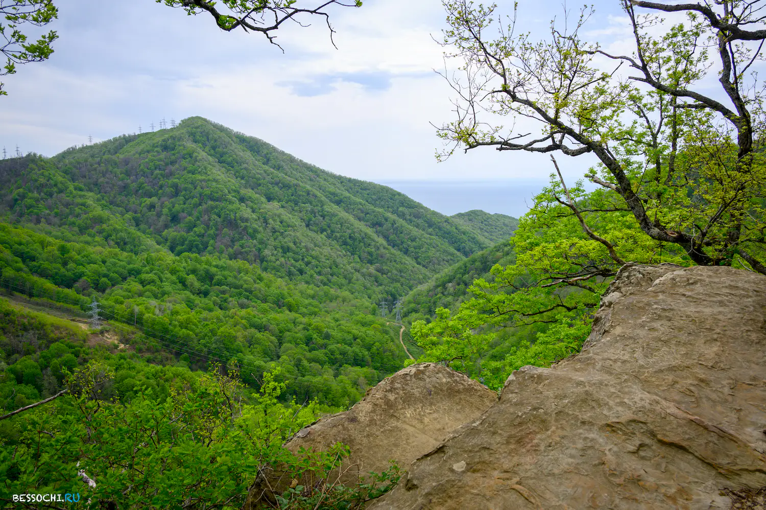 Берендеево царство