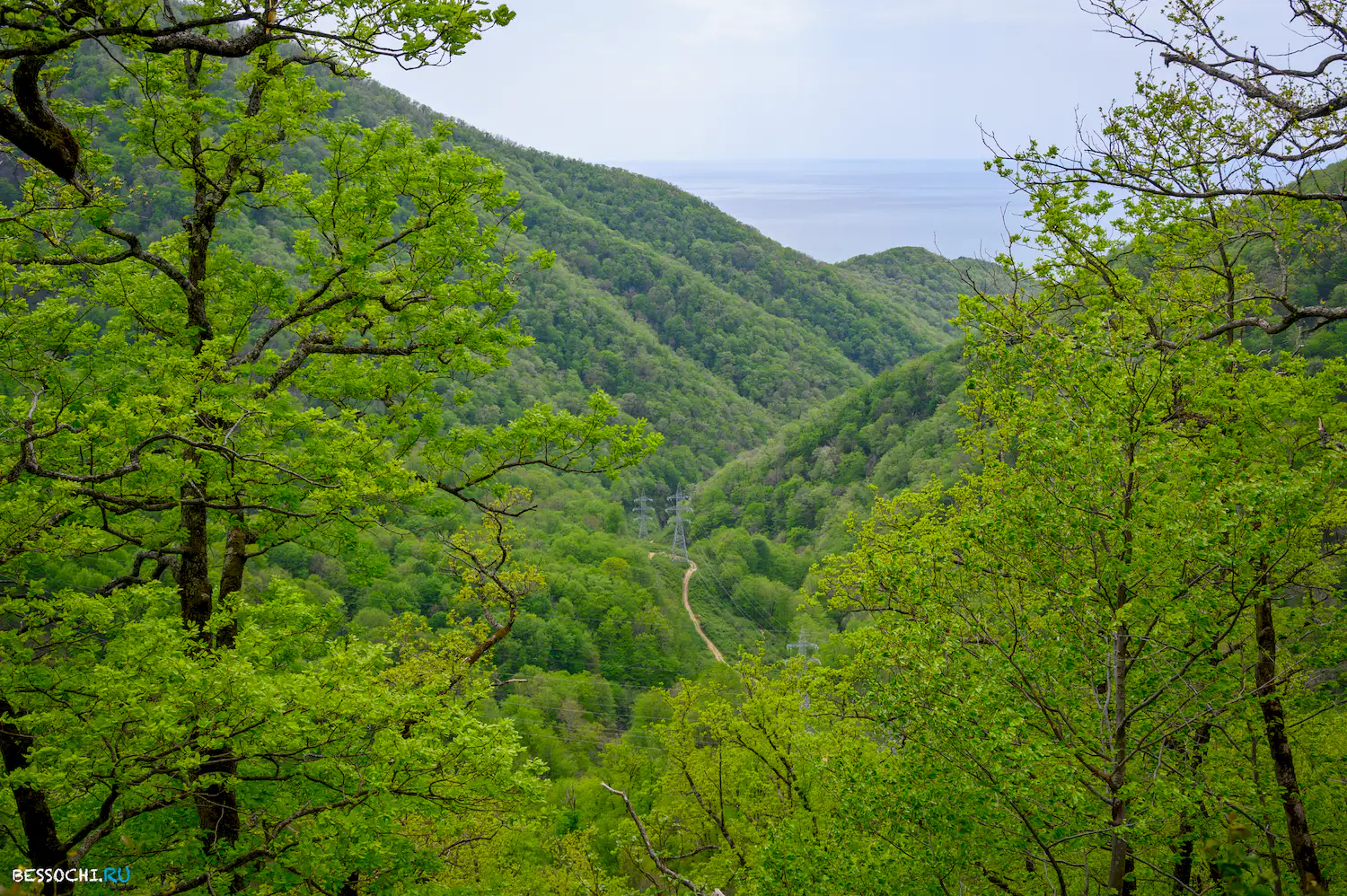 Берендеево царство