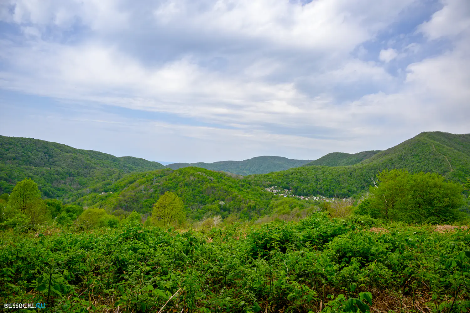 Берендеево царство