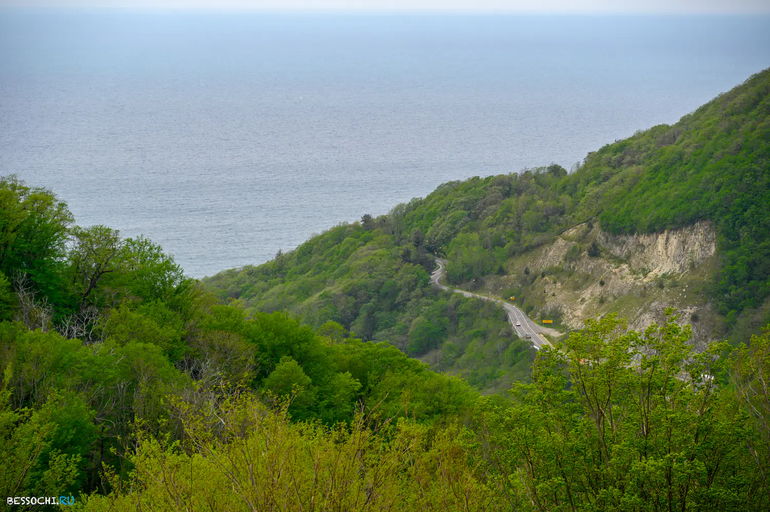 Берендеево царство