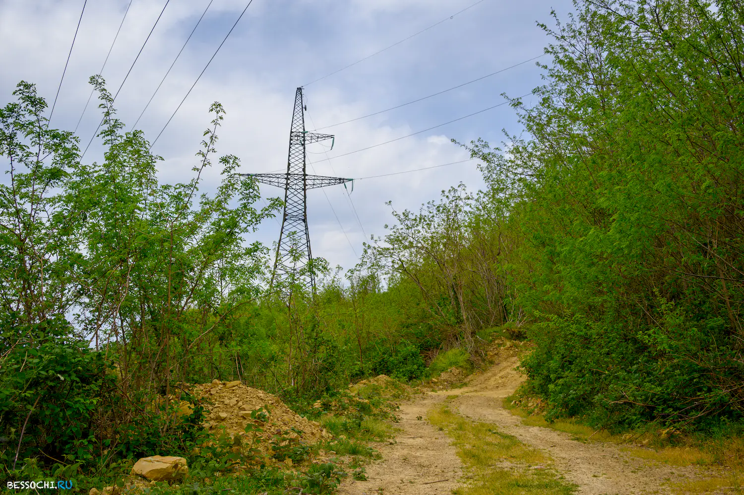 Берендеево царство