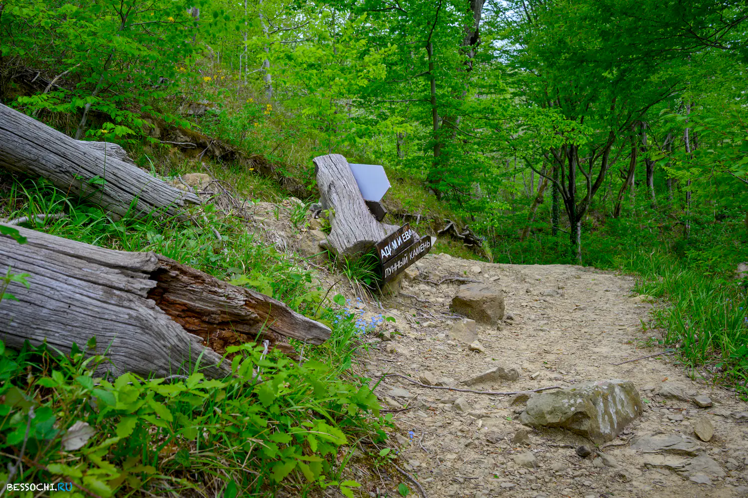 Берендеево царство