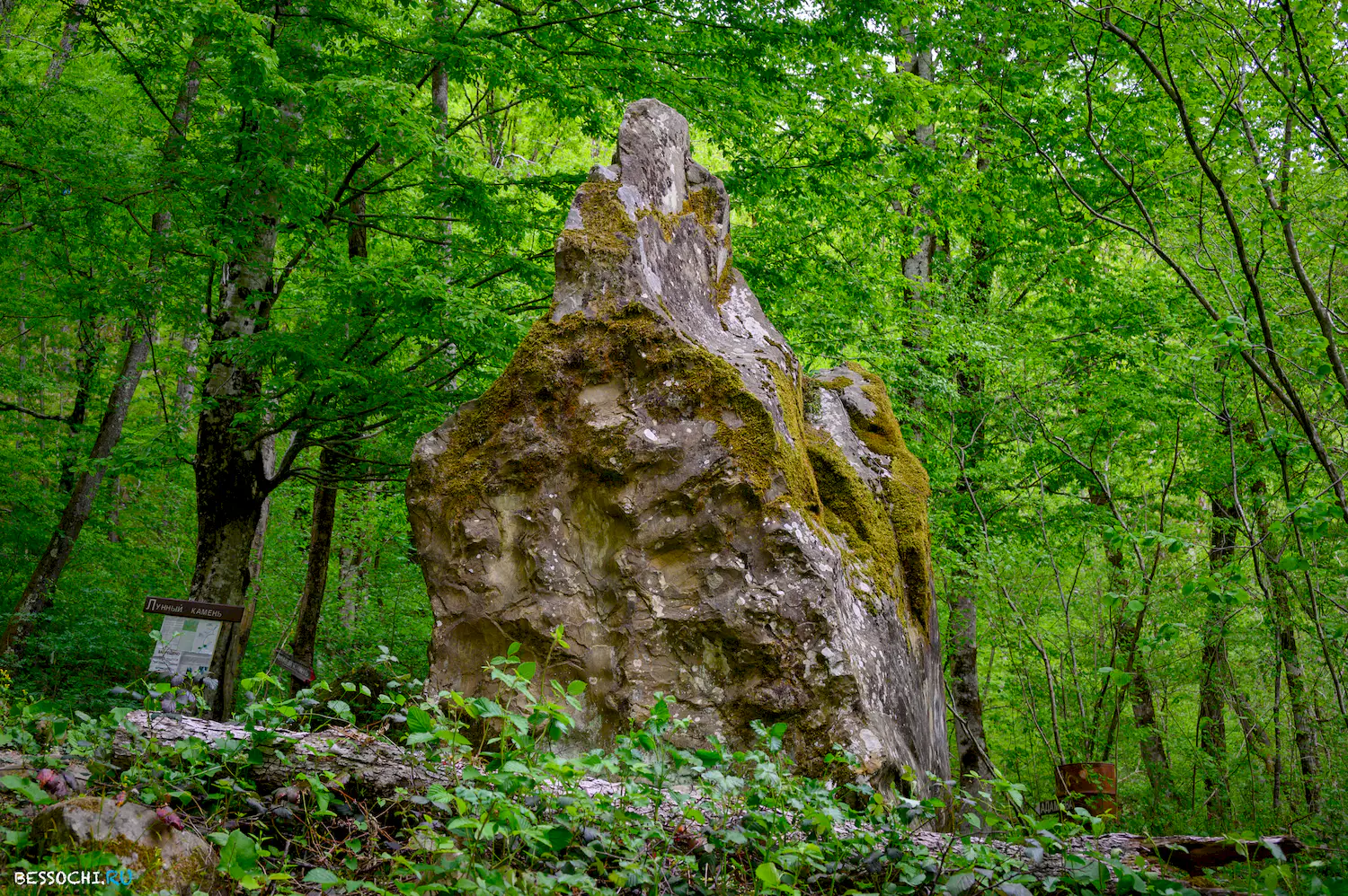 Свирское ущелье