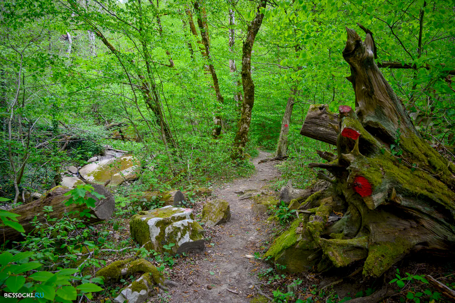 Свирское ущелье