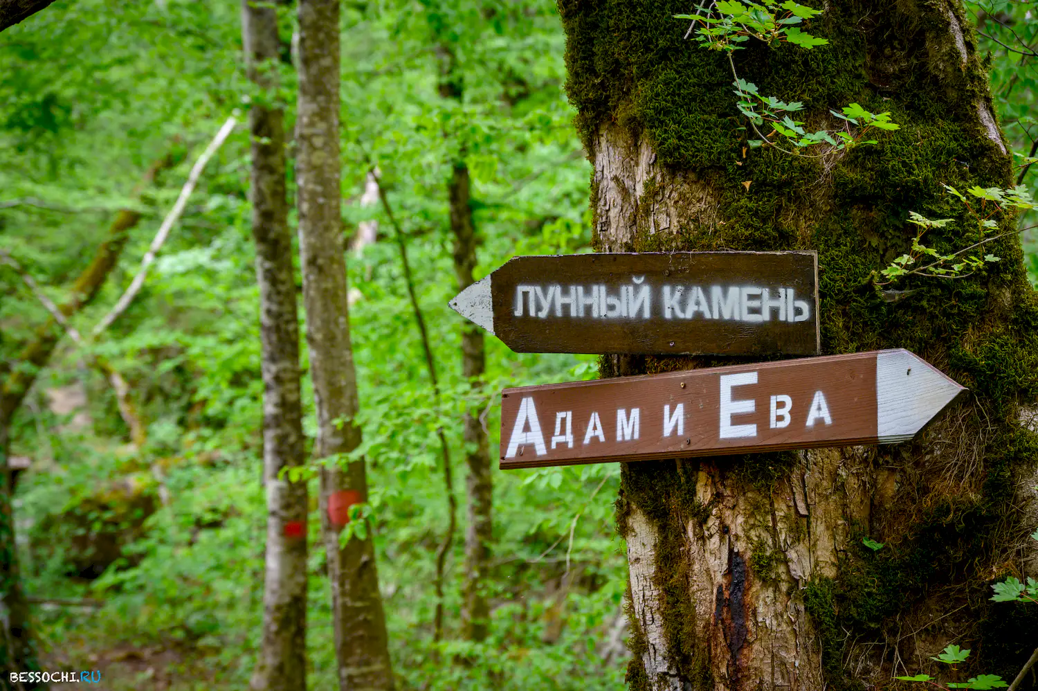 Свирское ущелье