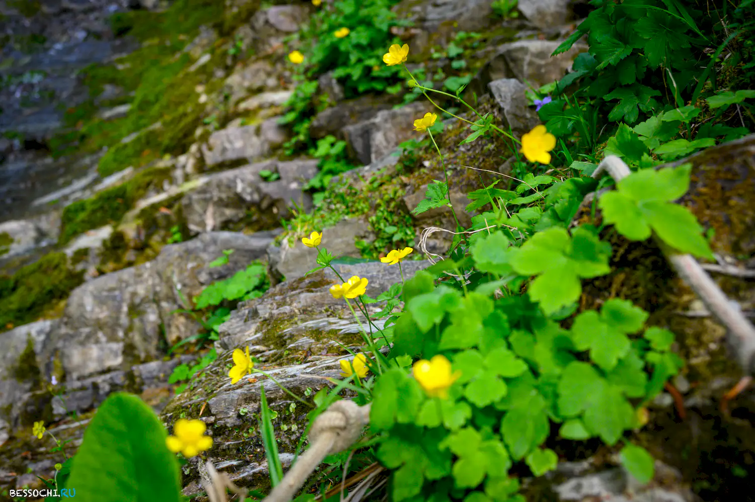 Свирское ущелье