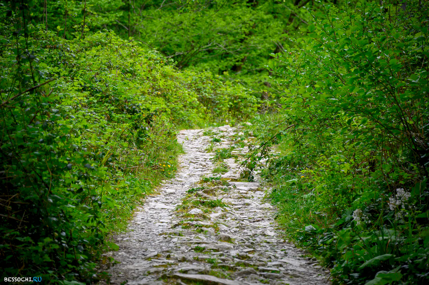 Свирское ущелье