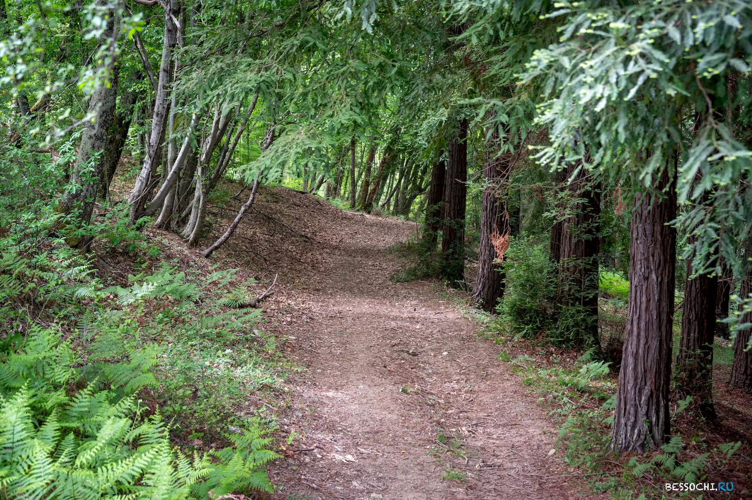 Верхнеармянское Лоо