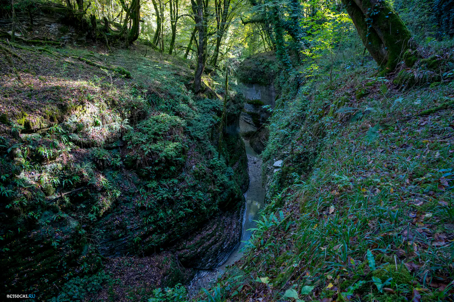 Сказочный каньон