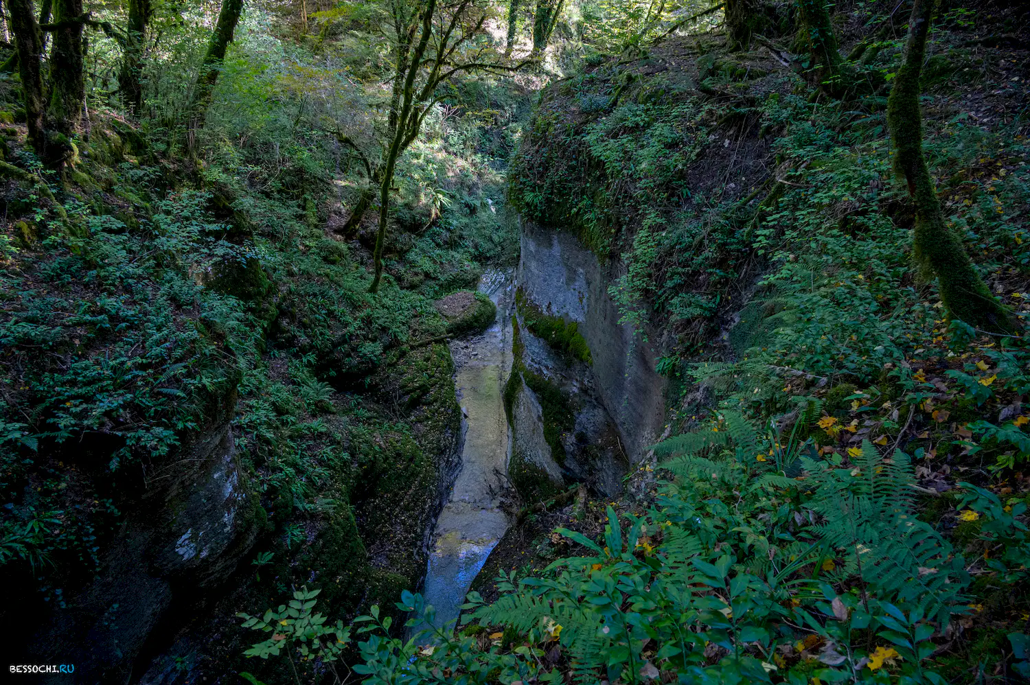 Сказочный каньон