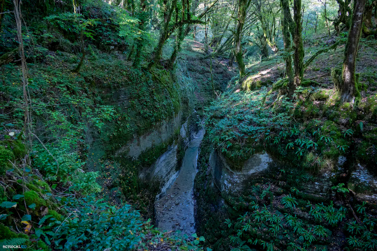 Сказочный каньон