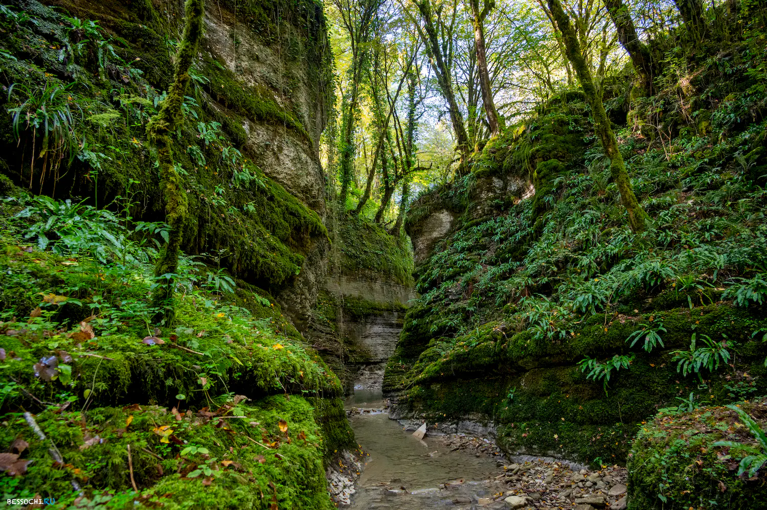 Сказочный каньон