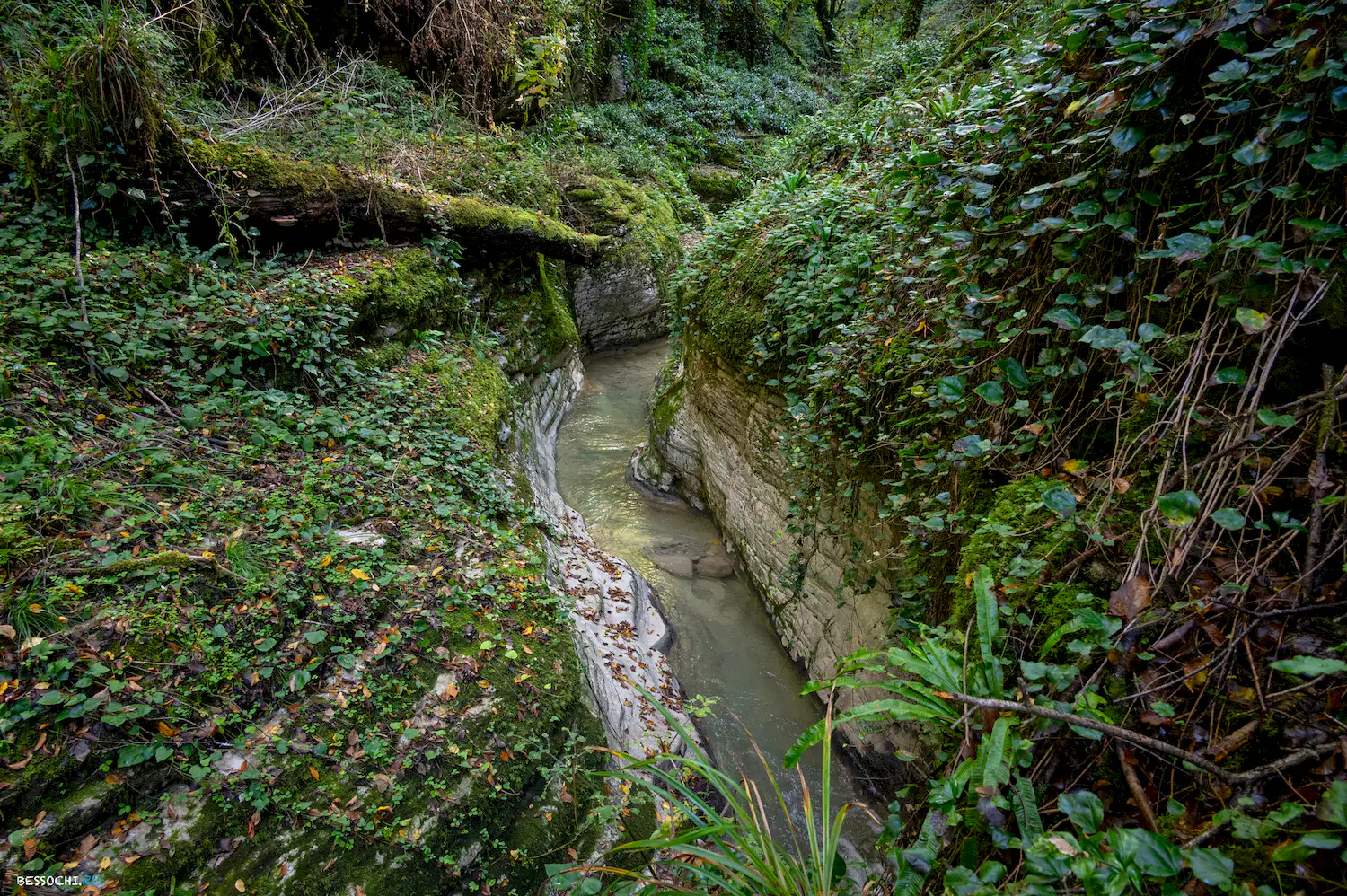 Сказочный каньон